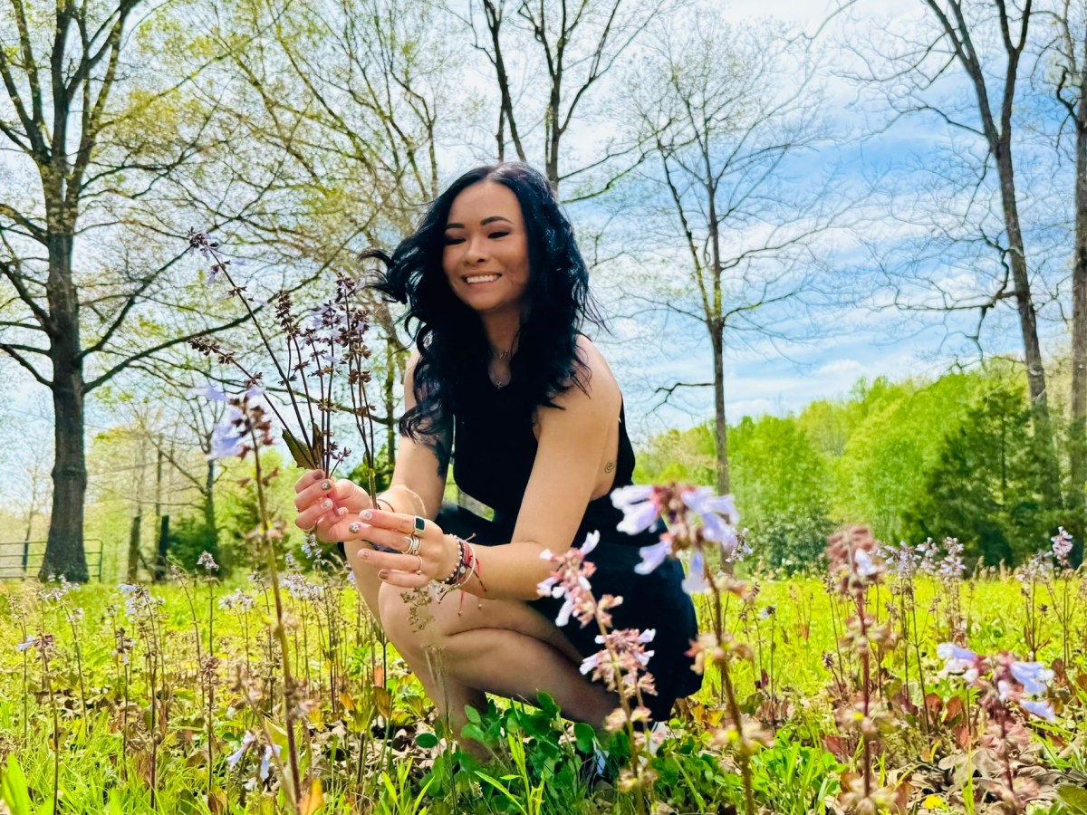 My Hipsy Roller Coaster: A Journey of&nbsp;Change