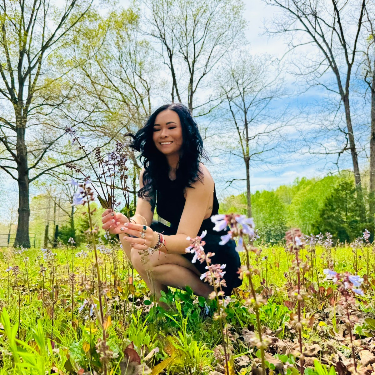 My Hipsy Roller Coaster: A Journey of&nbsp;Change